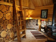 Interior of Eagle's Nest cabin with wall made of wood and ladder leading to loft