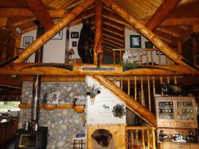 Interior view of cabin with loft above