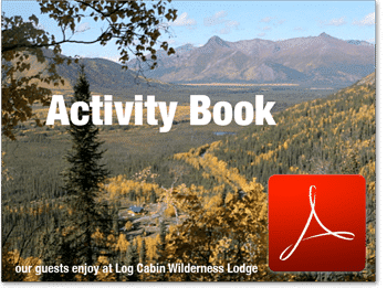 Activity Book for Log Cabin Wilderness Lodge